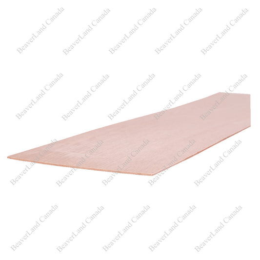 1/8 Plywood Red Oak